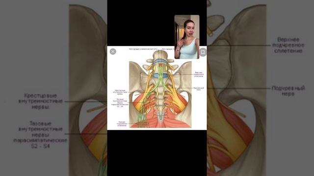 Крестец и быстрый метод вытяжения в домашних условиях #крестец #поясница #йогатерапия #боль #йога смотреть онлайн