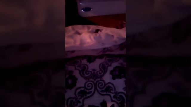 Фокус клас с со спичкой смотреть онлайн