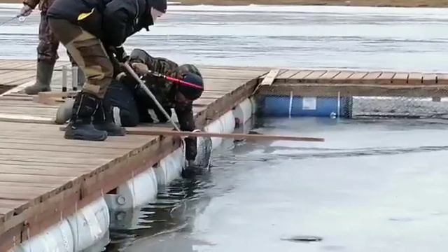 1 марта 2020 г. смотреть онлайн