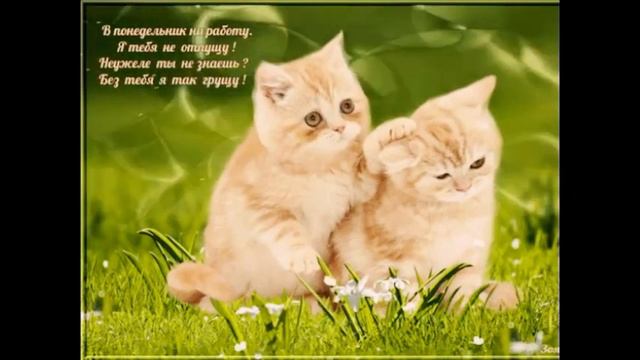 ПРИВЕТИК ! @ смотреть онлайн