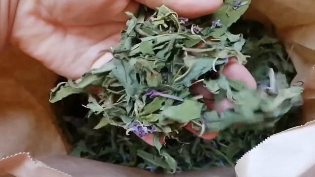 Заготовки для шиншилл на зиму. Chinchillas