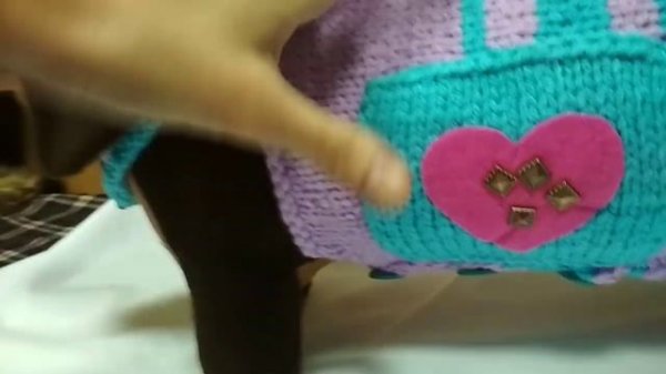 Авторская игрушка такса. Можно заказать любую собачку здесь eli-stor.com