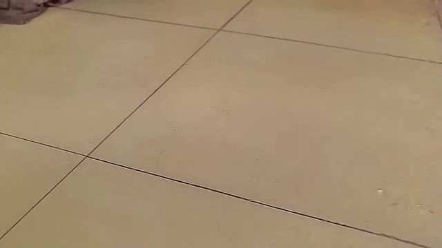 Необычный эффект на поверхности кафеля при включенном душе смотреть онлайн