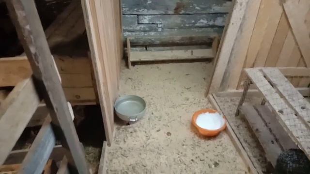 Защита для кур от ? петуха.Попонки смотреть онлайн
