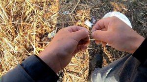 ЖОР ПЛОТВЫ  НА ВЫПОЛЗКА! ЛОВЛЯ ПЛОТВЫ ВЕСНОЙ! РЫБАЛКА НА КРУПНУЮ ПЛОТВУ!  весенняя рыбалка 2021