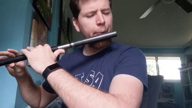 Practicing flute with E drone смотреть онлайн