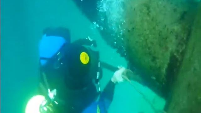 подводное танго смотреть онлайн