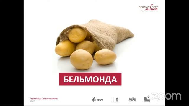 Вебинар: Подготовка семенного картофеля к посадке смотреть онлайн