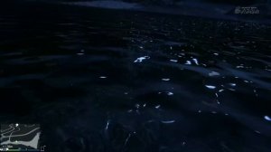 Разрыв шаблона во все поля! [#CRAZY LS] GTA Online PS4