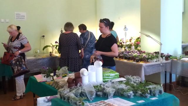 Выставка #МИССФиалки 21-27 июня в Самаре в дк Металлург. "ФИАЛКИ-КРАСОТА рядом с Вами!" смотреть онлайн