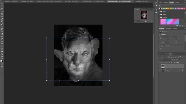 Animal Human Morph смотреть онлайн