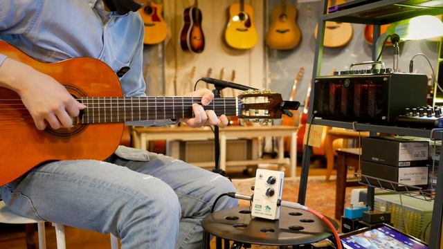 TRIAL Ukulele INNER MIC Preamp w/Classic guitar l Cordoba смотреть онлайн