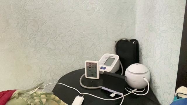 [дом рутина] мои цветы, как я перевожу дом в порядок смотреть онлайн