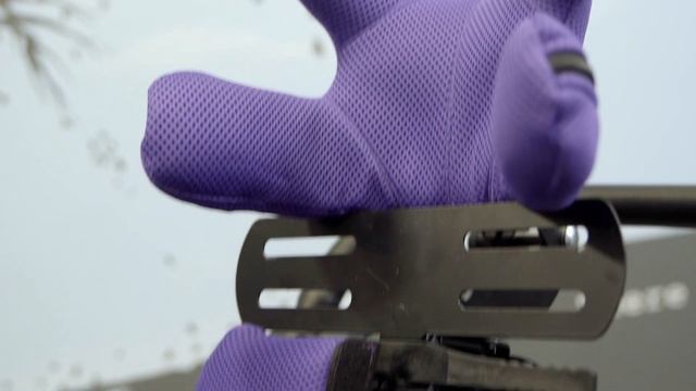 Liwcare - Historia Sukcesu