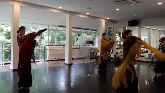 Zorongo con Manton - Work in progress for 20th Feb 2021 Flamenco PeNa смотреть онлайн