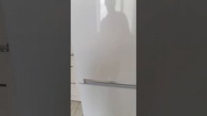 Реальный отзыв о холодильнике Beko RCSK335M20W