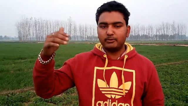 What is the video formats || MP4,3GP,WMV,MKV Explained || Hindi смотреть онлайн