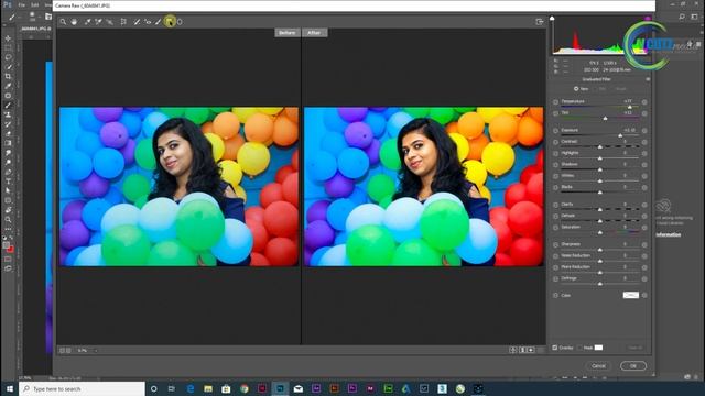 Filter Menu in Adobe photoshop tutorials | Use Liquify | Camera raw filter | Filter gallery смотреть онлайн