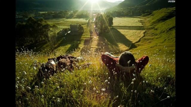 Мой кругозор смотреть онлайн