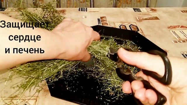 ПОДМАРЕННИК МЯГКИЙ.Galium Mollugo.Избавляемся от лишнего жира.