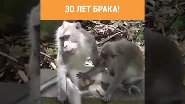 30 лет брака! смотреть онлайн