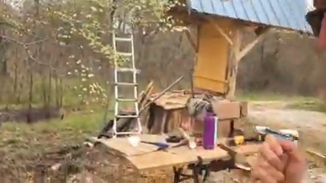 DIY Mushroom Log Plugging with Shiitakes & Nameko Spawn смотреть онлайн