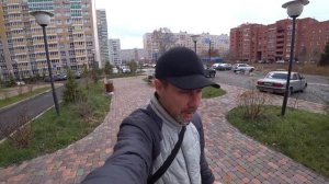 Первая вязка собаки на какой день? Ремень безопасности для животных в автомобиле. Вязка шпица Бэллы