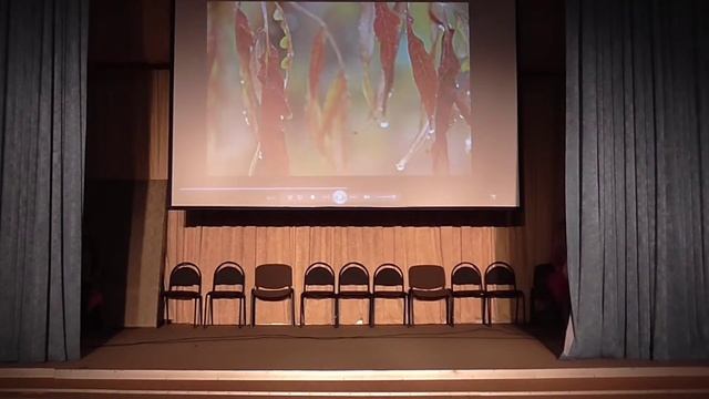 Спектакль Щедрое дерево смотреть онлайн