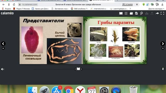 6 био организм как среда обитания смотреть онлайн