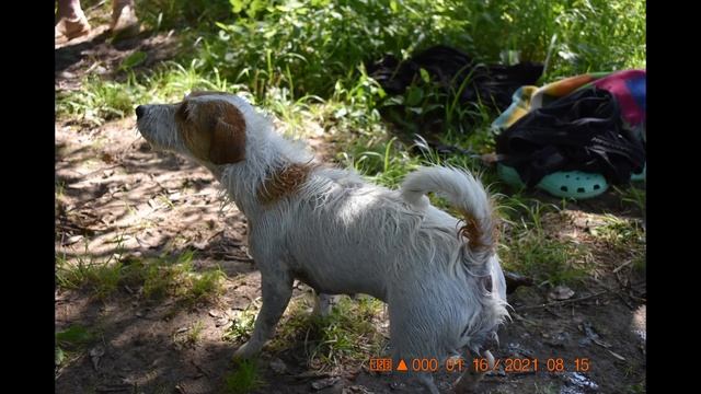 Отдых в Коломне селе Шеметово у родни.