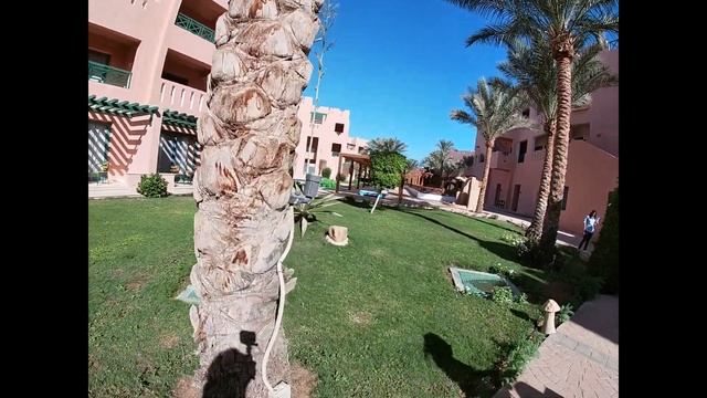 REHANA SHARM RESORT AQUA PARK 4* - обзор отеля от турагента смотреть онлайн