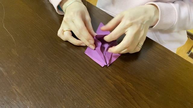 Онлайн-занятие для ДМТО «Акуна» - ирис из бумаги (Ступина Мария) смотреть онлайн