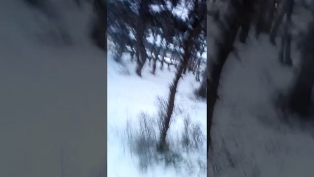 Катаемся на санках