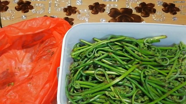солим папоротник на зиму смотреть онлайн