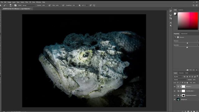 Post-Processing for Beginners: Basic Photoshop 5/7 смотреть онлайн
