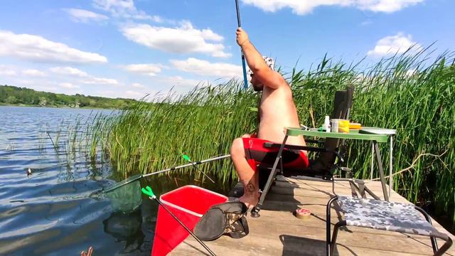 8 кг. Плотвы. Тарань. Плотва по 300 грамм. Plotva