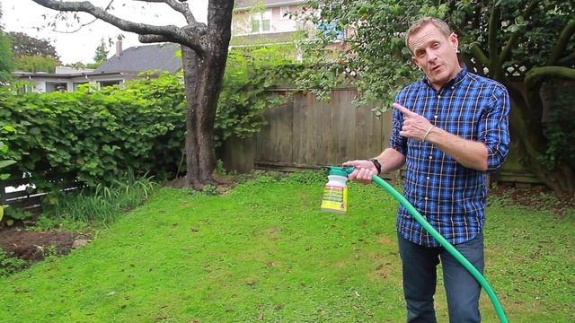 Nematodes for Lawn Grubs - NIC’s How to Apply смотреть онлайн