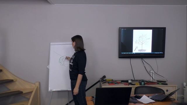 Садовый инструмент. Как выбрать инструмент для обрезки плодовых? смотреть онлайн