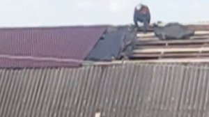 подкровельная пленка под профнастил