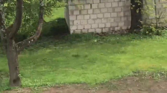 179. Бережем, как зеницу ока....19 мая 2021 г. смотреть онлайн