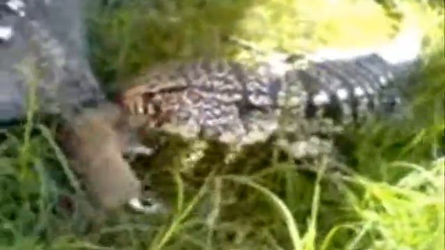 Hannibal comendo смотреть онлайн