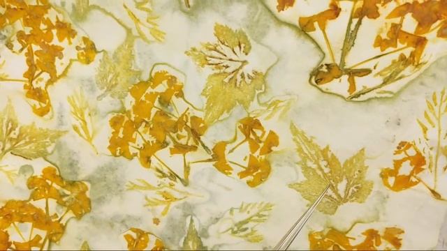 Eco Prints using Iris, Fern, Maple, Ligularia, Lupine and More | Flower & Leaf Eco Steaming | Leave смотреть онлайн