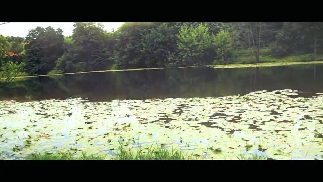 Душевная песня про папу 2022 смотреть онлайн