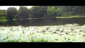 Душевная песня про папу 2022