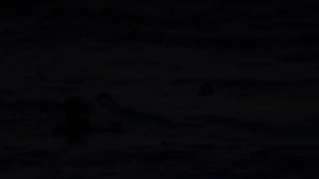 Sara Farell - Faded (Hakan Akkus Remix) смотреть онлайн