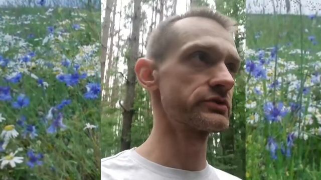 Дедлайн простыми словами смотреть онлайн