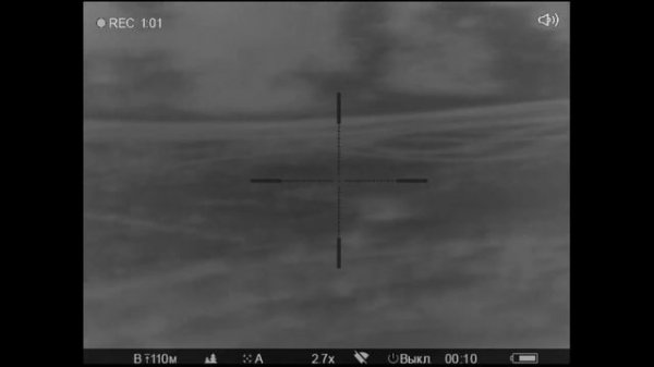 Охота на шакала с манком 4  (46) шакал