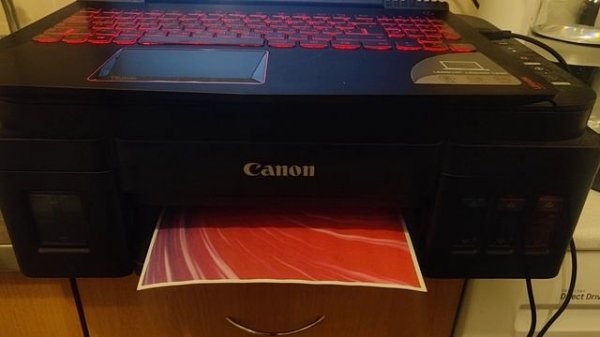 canon g3411(печать)