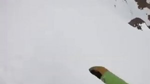 Собака с горки кувыряка