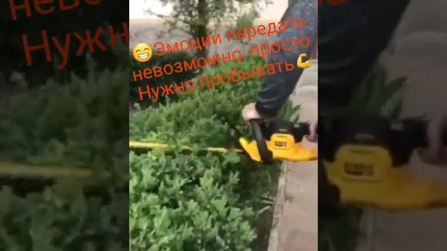 Как выбрать садового парикмахера? смотреть онлайн